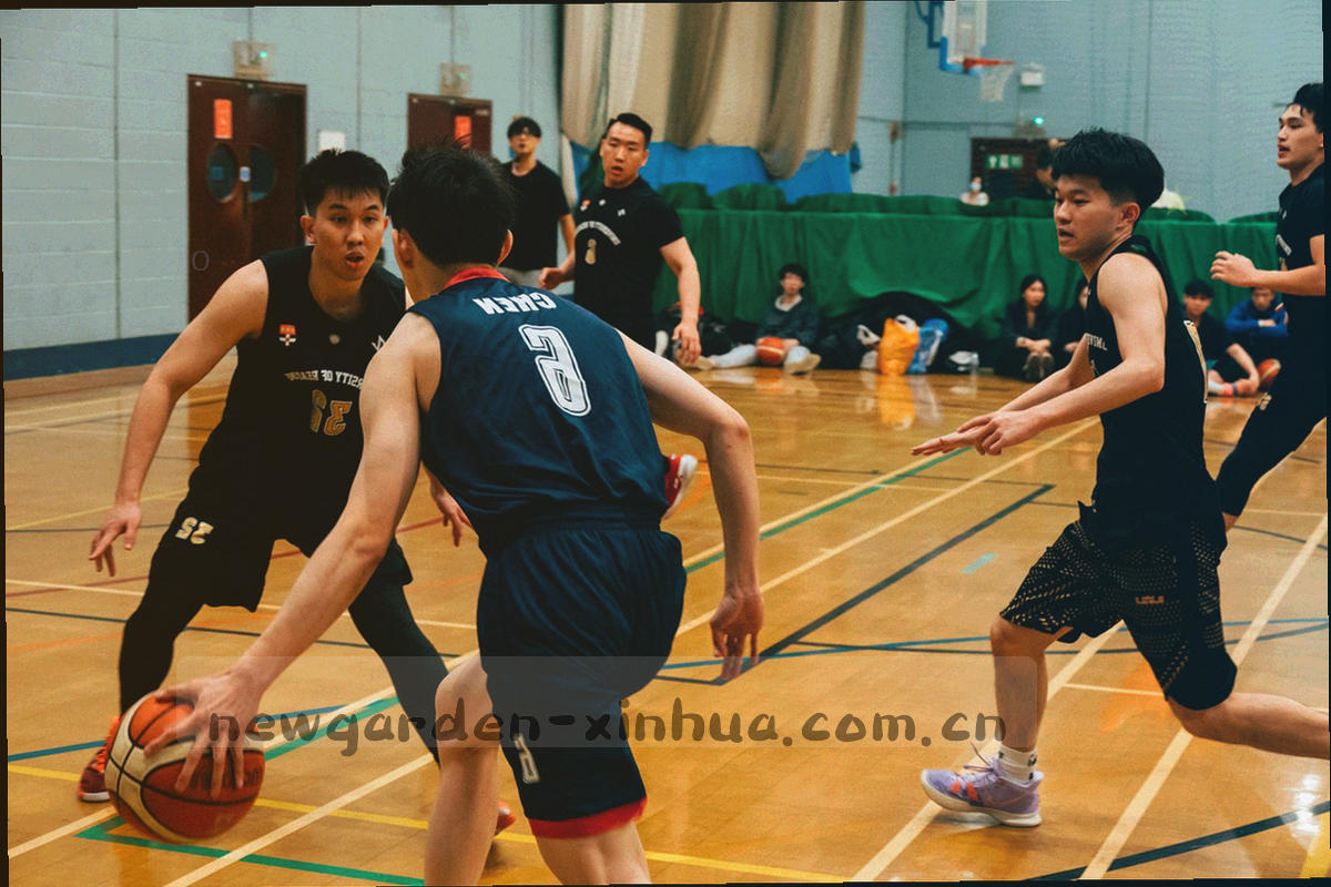 四片不同季节状态的叶片由左至右排列在浅色背景上